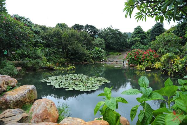 南宁有哪些景点值得一去，南宁这些热门景区公共交通可以到达