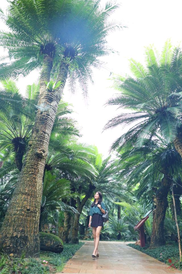 南宁有哪些景点值得一去，南宁这些热门景区公共交通可以到达