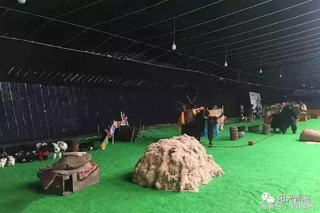 纪录片青海十大奇迹，属于青海的吉尼斯世界纪录