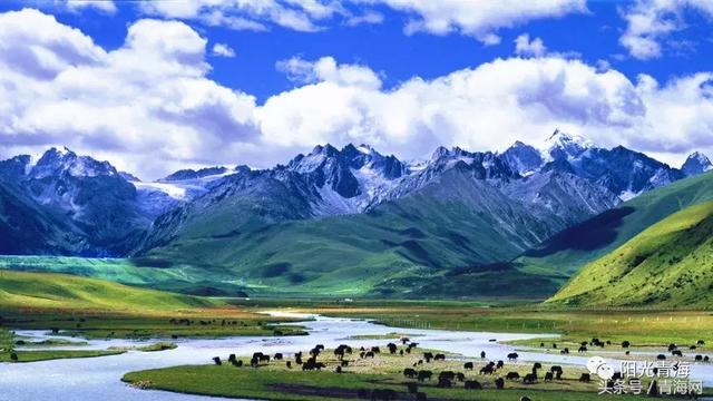 纪录片青海十大奇迹，属于青海的吉尼斯世界纪录