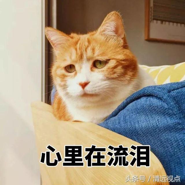 乐高游戏嘉年华2，乐高嘉年华游乐场