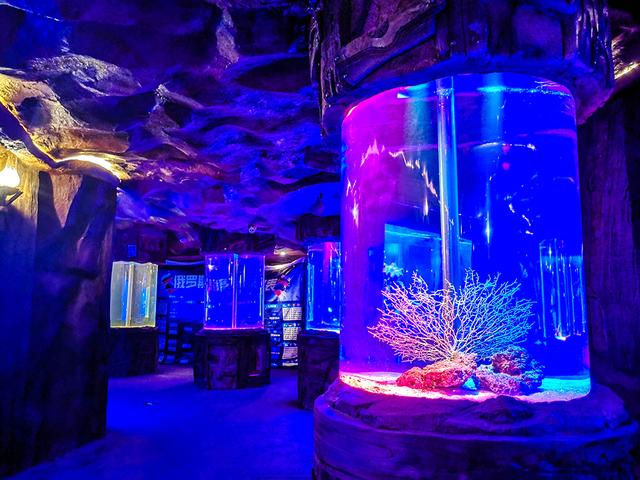 长鹿旅游休博园，长鹿旅游度假村攻略（吃喝玩乐就在长鹿旅游休博园）