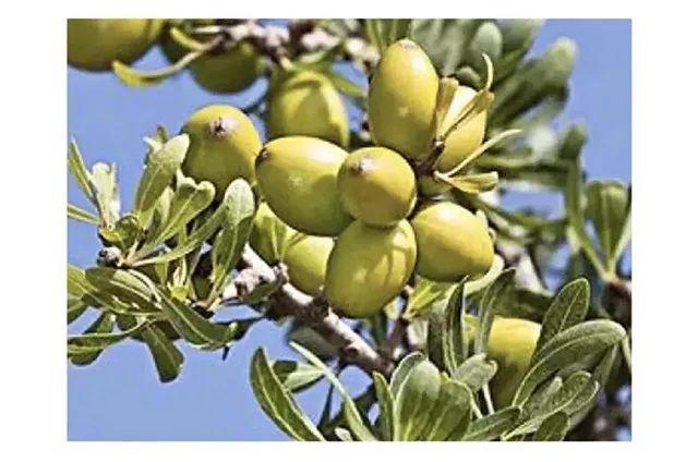 contigo，儿童水杯陶瓷拼团