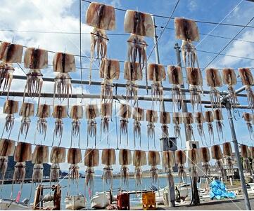 墨鱼干最佳吃法，这道红烧墨鱼干比大厨做的还好吃