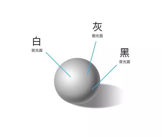 美术入门基础知识大全，分享1000个基础教程干货