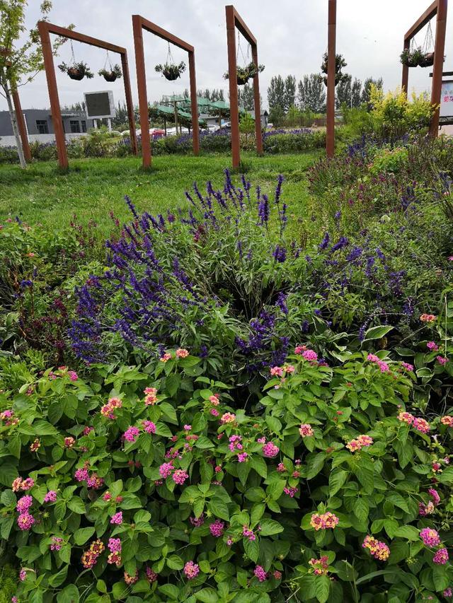 世界葡萄博览园，世界葡萄博览园现在开放