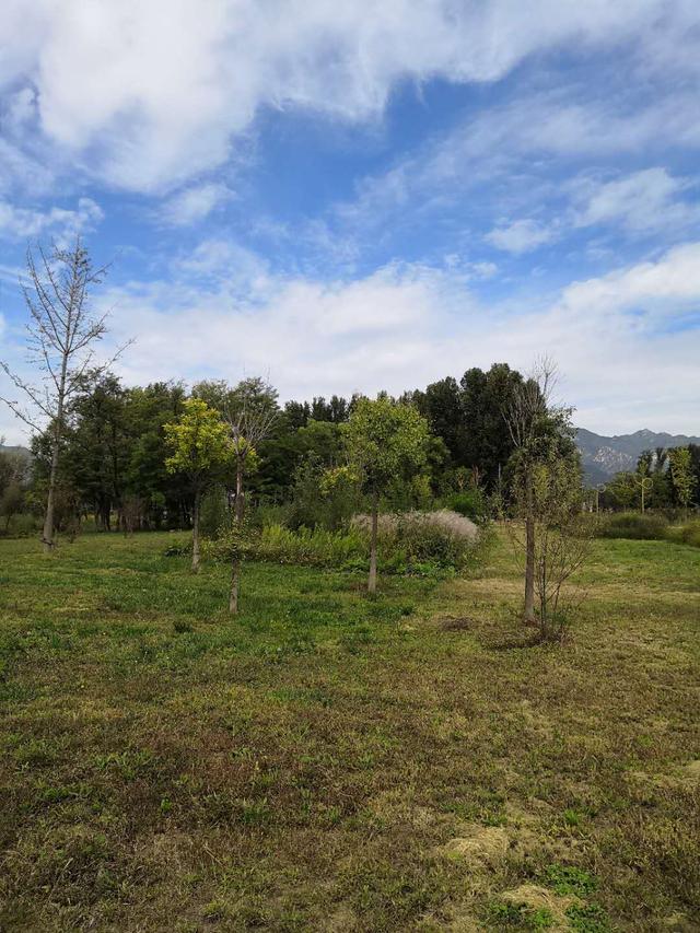 世界葡萄博览园，世界葡萄博览园现在开放