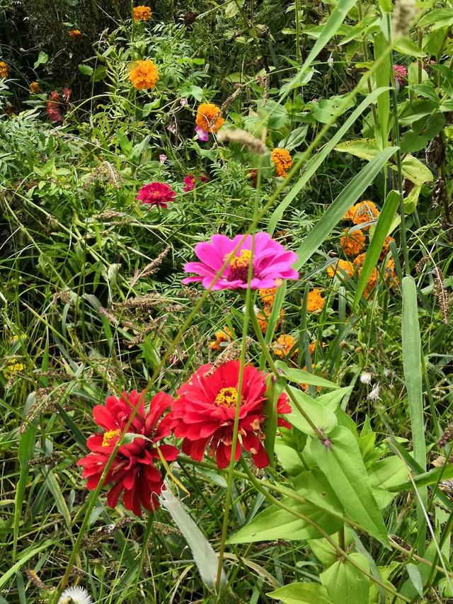 世界葡萄博览园，世界葡萄博览园现在开放