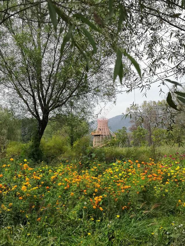 世界葡萄博览园，世界葡萄博览园现在开放