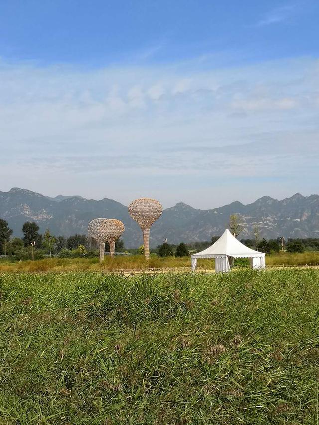 世界葡萄博览园，世界葡萄博览园现在开放