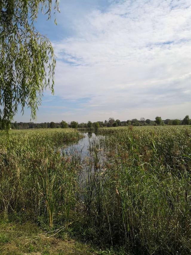 世界葡萄博览园，世界葡萄博览园现在开放