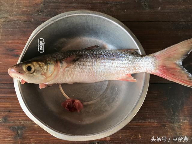 什么鱼煎着好吃又刺少，味道鲜美刺少肉多