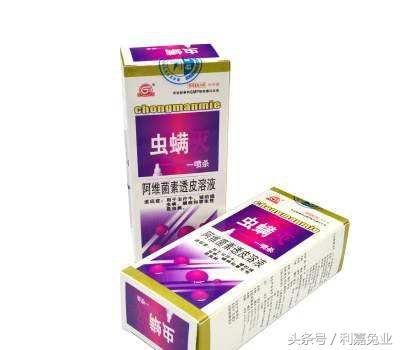 养兔有四个要点，三天教会你养兔