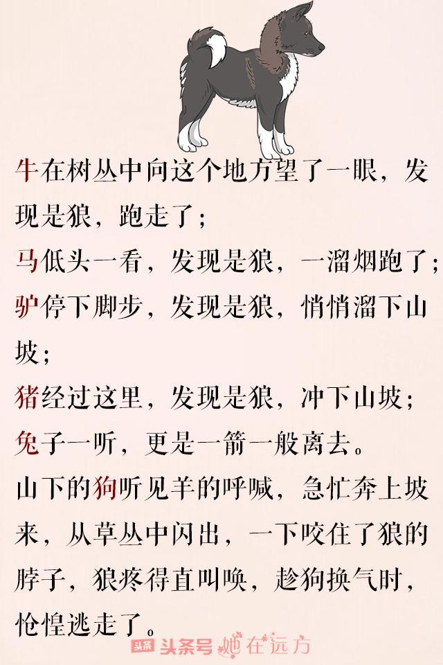 狼要吃羊的故事简短，狼要吃羊<故事很短