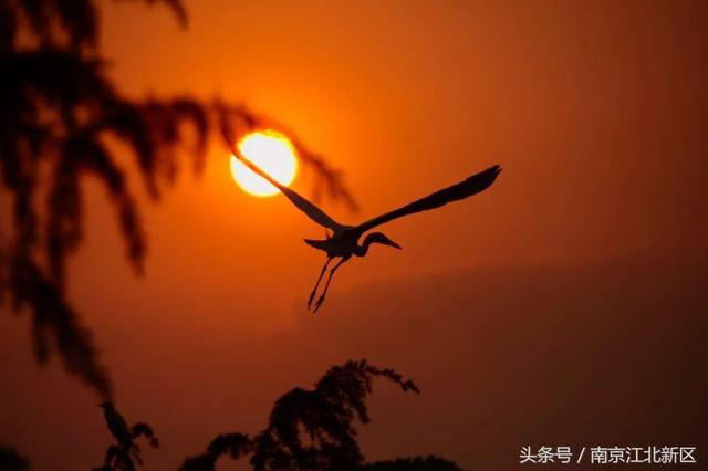 六安天堂寨风景区，十月一六安天堂寨一日游攻略