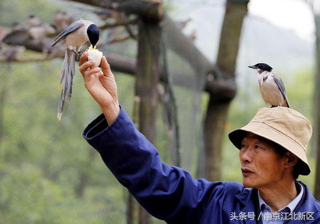 六安天堂寨风景区，十月一六安天堂寨一日游攻略