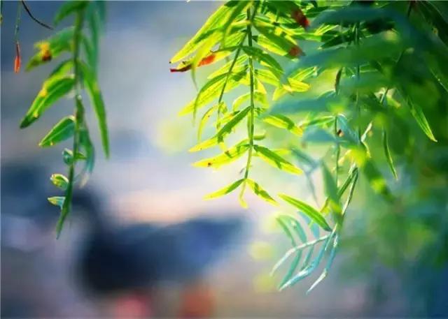 晚安好句子181001：总想把世界上最好的都给你，却发现最好的就是你