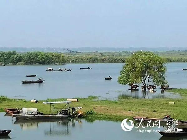 阜阳颍州西湖打造旅游景点，阜阳4大板块谁将成为下一个中心