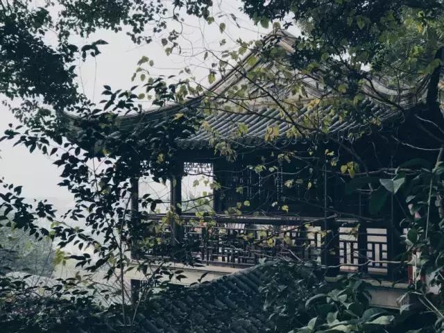 晚安说说181004：我想你一定很忙，所以你只看前三个字就好