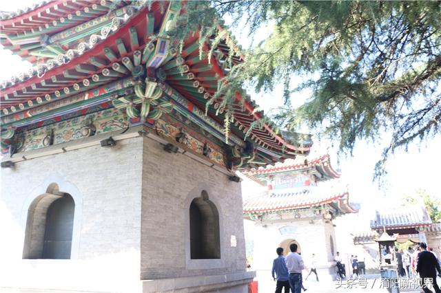 白居易一生的主要成就，白居易不仅是诗人文豪