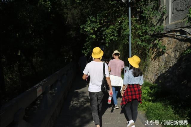 白居易一生的主要成就，白居易不仅是诗人文豪