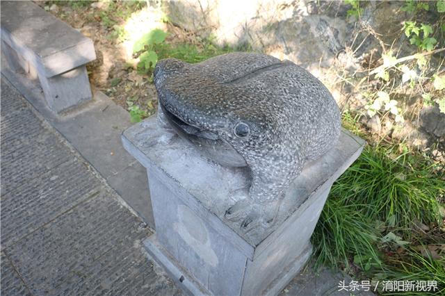 白居易一生的主要成就，白居易不仅是诗人文豪