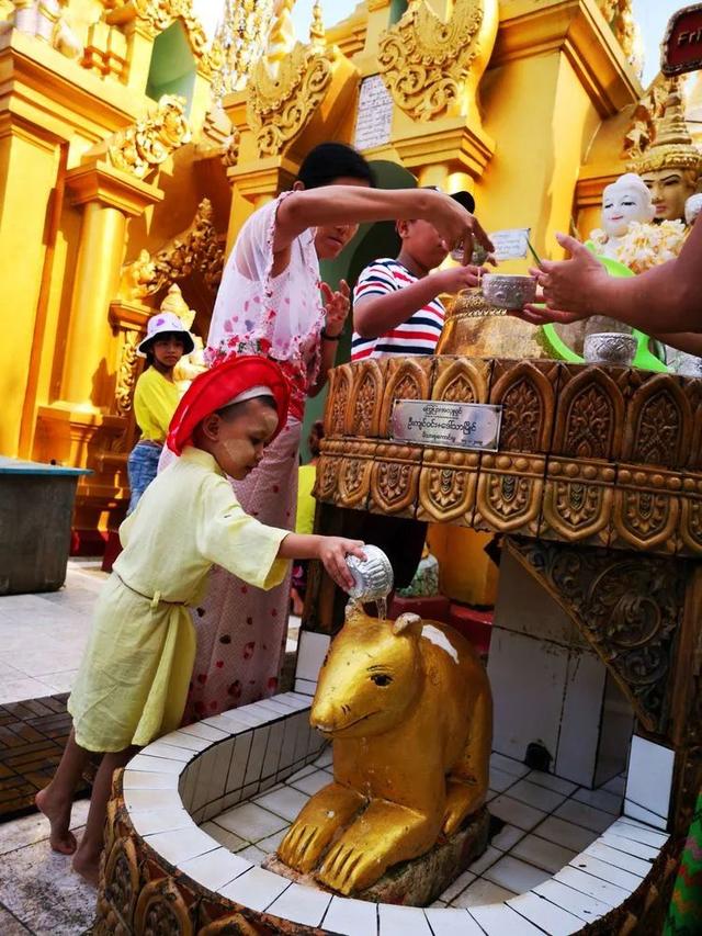 缅甸仰光自由行攻略，我一个人的四国自由行之缅甸