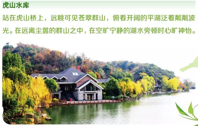 小众景点全攻略，人少景美如果你来半山