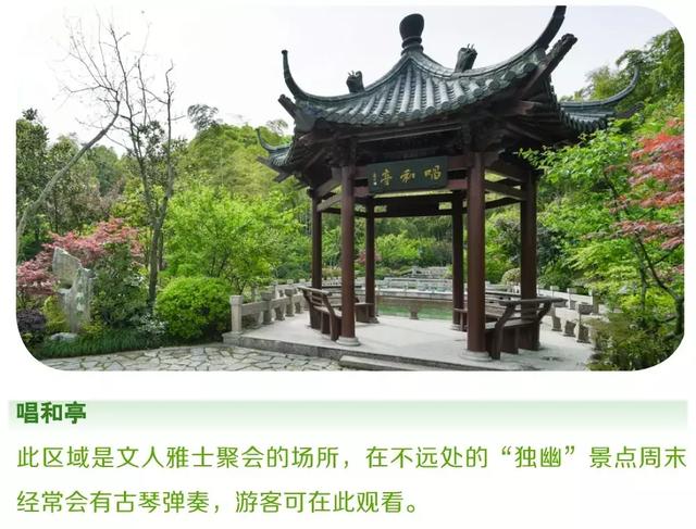 小众景点全攻略，人少景美如果你来半山