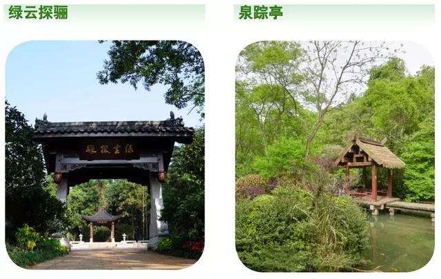 小众景点全攻略，人少景美如果你来半山