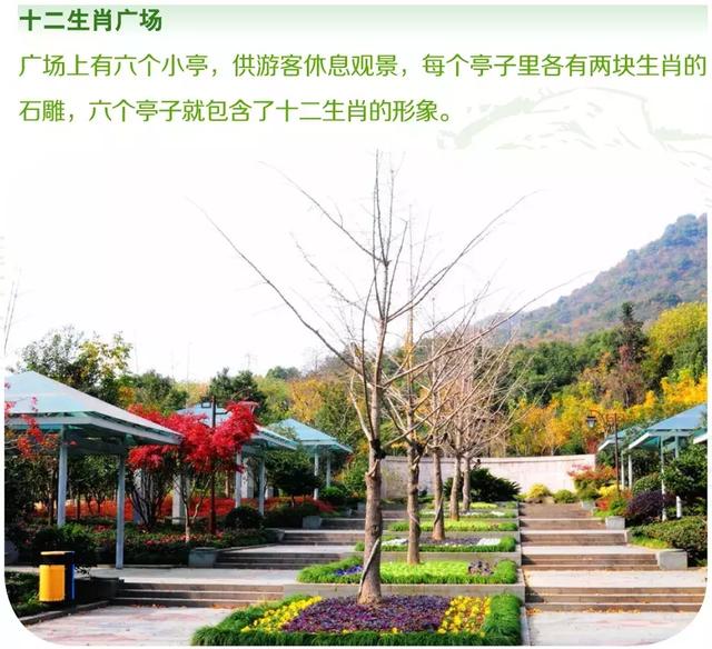 小众景点全攻略，人少景美如果你来半山