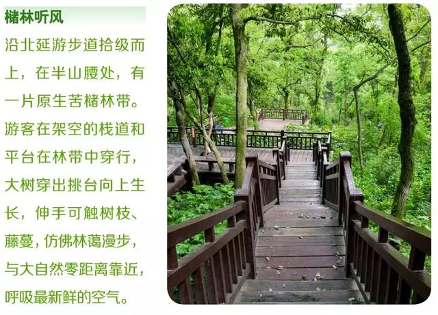 小众景点全攻略，人少景美如果你来半山