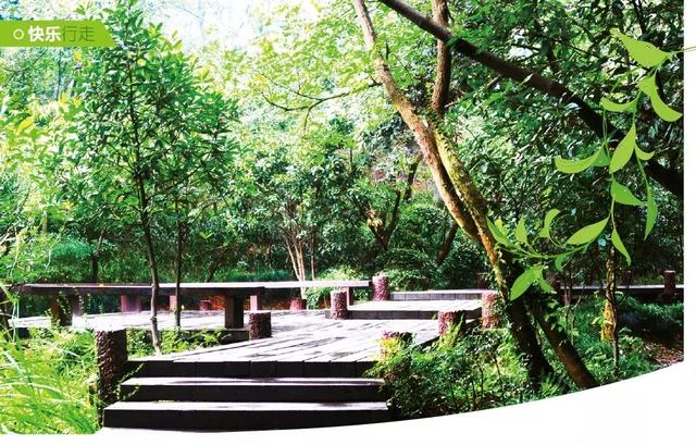 小众景点全攻略，人少景美如果你来半山