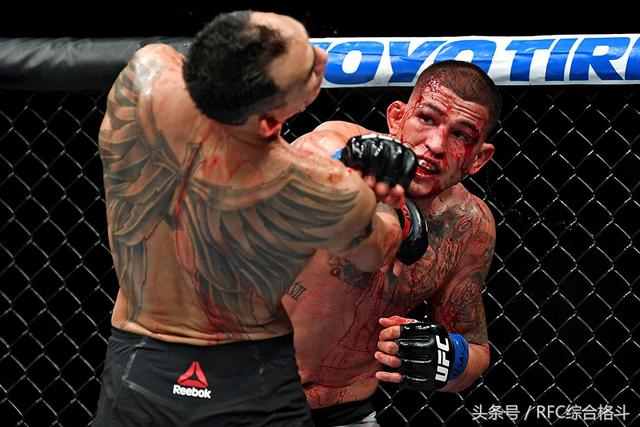 小鹰ufc总收入，小鹰最后一战收入460万英镑