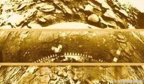 金星星球结构，7亿年前金星有可能是一颗宜居行星