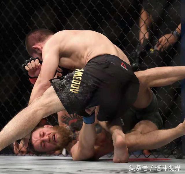 ufc澳门赛直播，哈比布在ufc第五场比赛（UFC澳门赛官方发布会在港举行）