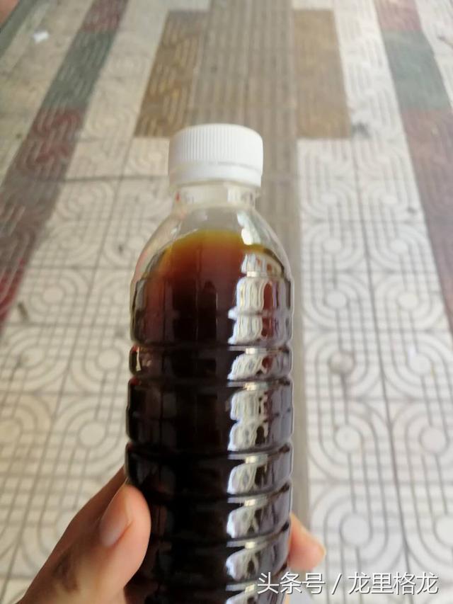 广州顺德旅游吃货攻略，国庆节探寻美食之旅