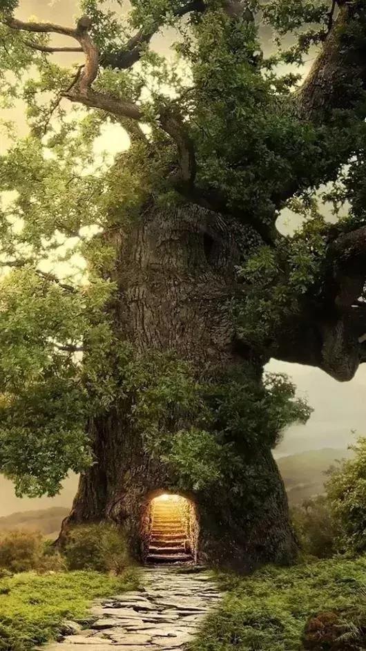 此景只应天上有，此景只应天上有不知何时落凡间