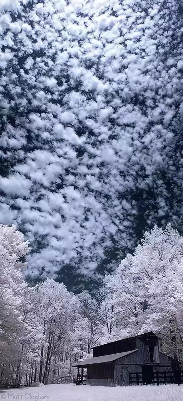 此景只应天上有，此景只应天上有不知何时落凡间