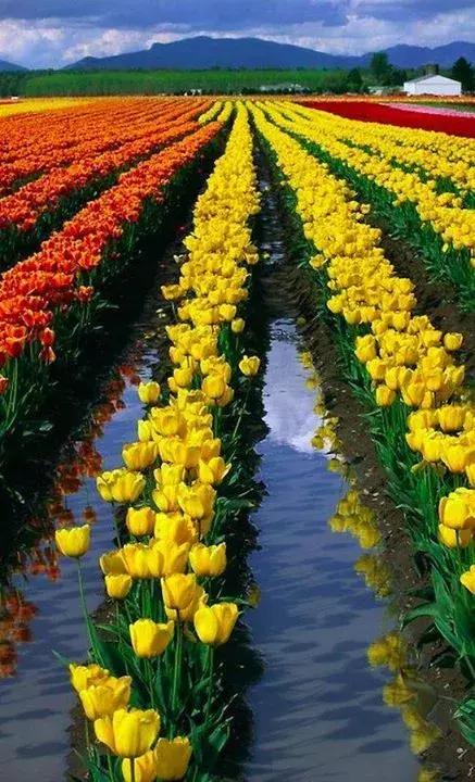 此景只应天上有，此景只应天上有不知何时落凡间