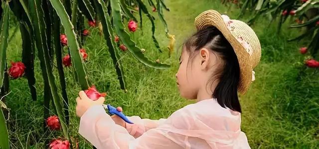 成都周边一日游带小孩的好地方，成都户外最快1天来回