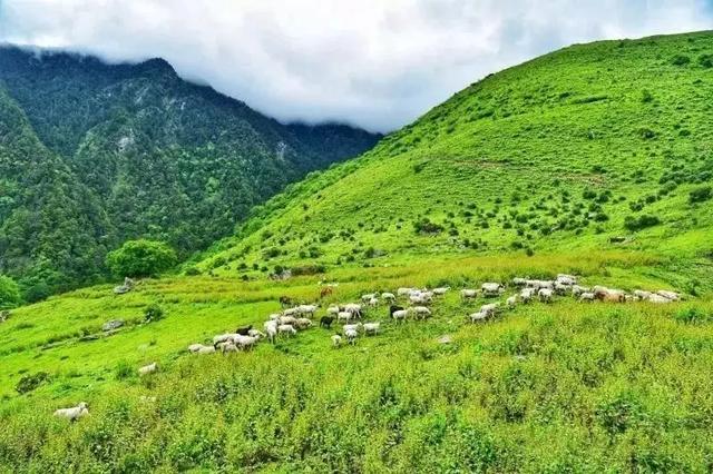 成都周边一日游带小孩的好地方，成都户外最快1天来回