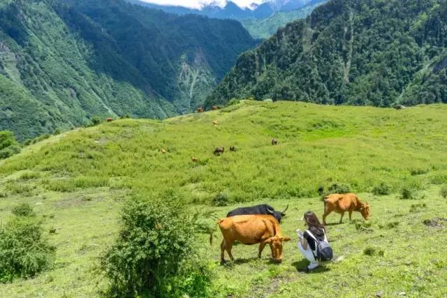 成都周边一日游带小孩的好地方，成都户外最快1天来回