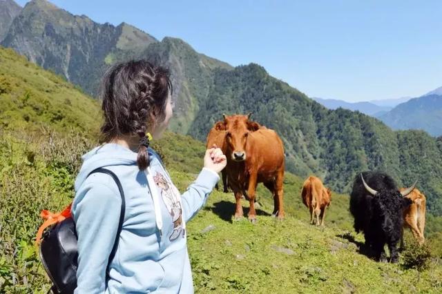 成都周边一日游带小孩的好地方，成都户外最快1天来回