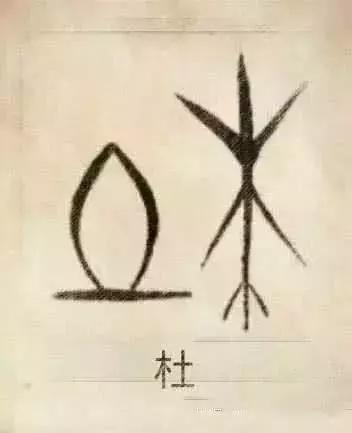百家姓图腾大全图片，姓氏图腾大全全部