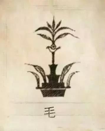 百家姓图腾大全图片，姓氏图腾大全全部