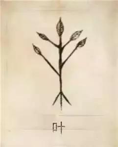 百家姓图腾大全图片，姓氏图腾大全全部