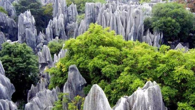 昆明有哪些好玩的旅游景点，云南旅游攻略昆明景点推荐（不去这10个景点相当于白来云南旅游）