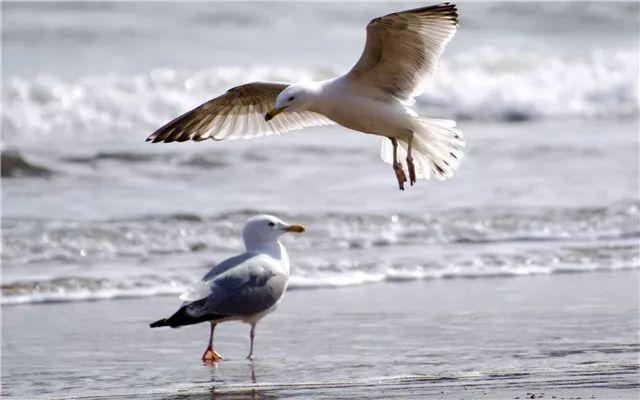 昆明有哪些好玩的旅游景点，云南旅游攻略昆明景点推荐（不去这10个景点相当于白来云南旅游）