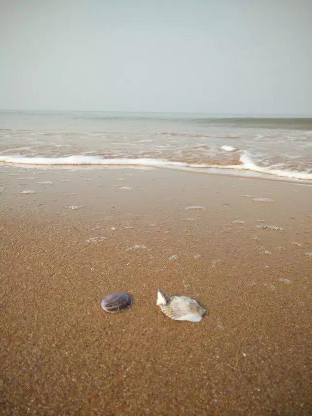 威海旅游攻略第二条，最全威海旅游攻略